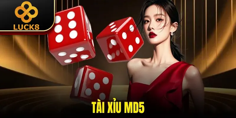 Tài Xỉu MD5 | Trò Chơi Uy Tín Nổi Tiếng Hàng Đầu Năm 2026